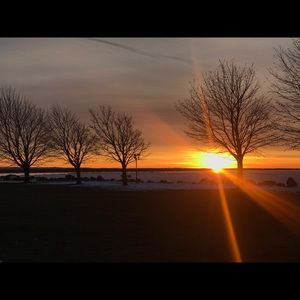 Meet your Posher, Shaun